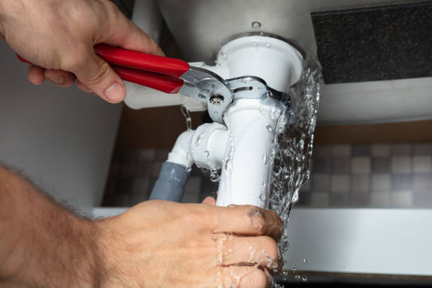 Best Sewage cleanup and water damage restoration  in Roy, UT