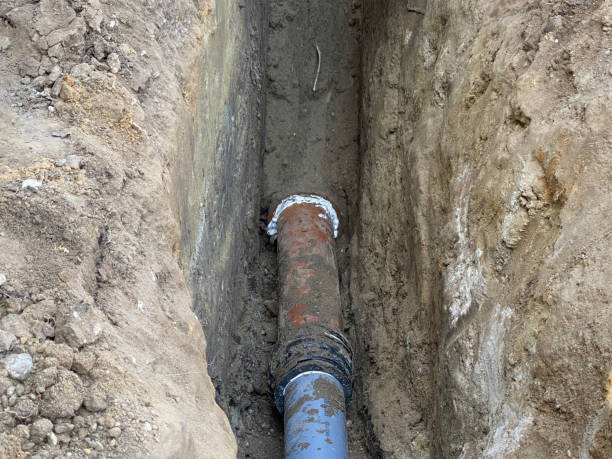 Best 24/7 water damage repair  in Roy, UT