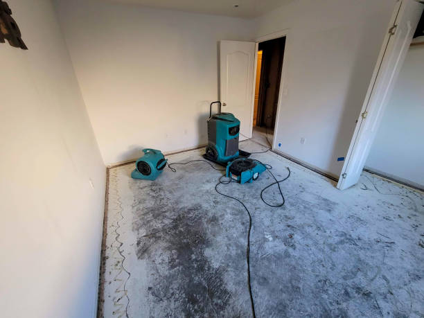 Best Residential water damage restoration  in Roy, UT