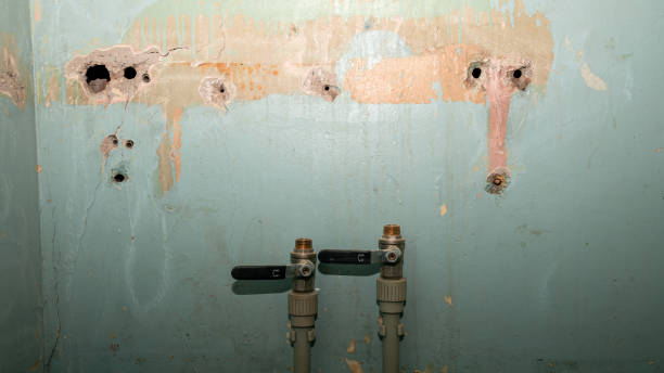 Best Local water damage restoration  in Roy, UT