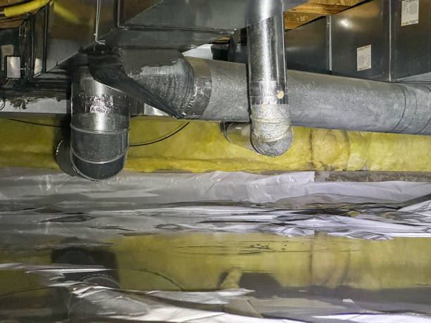 Best Flooded house restoration  in Roy, UT