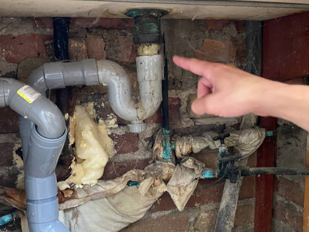 Best Flood restoration services  in Roy, UT