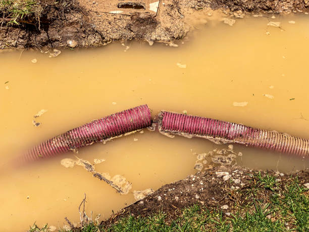 Best Water damage mitigation services  in Roy, UT