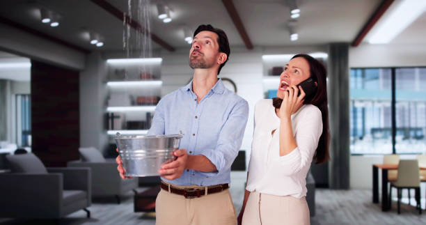 Best Water damage restoration near me  in Roy, UT