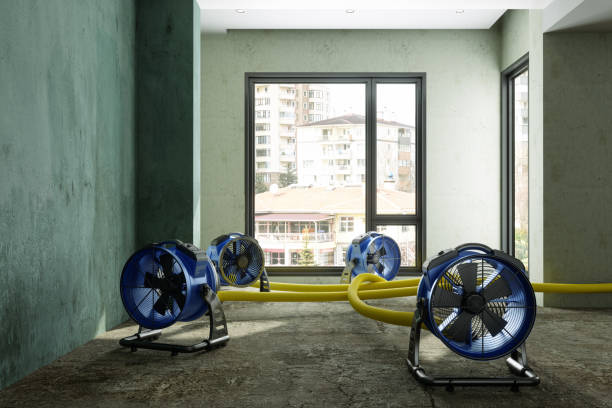 Best Commercial water damage restoration  in Roy, UT