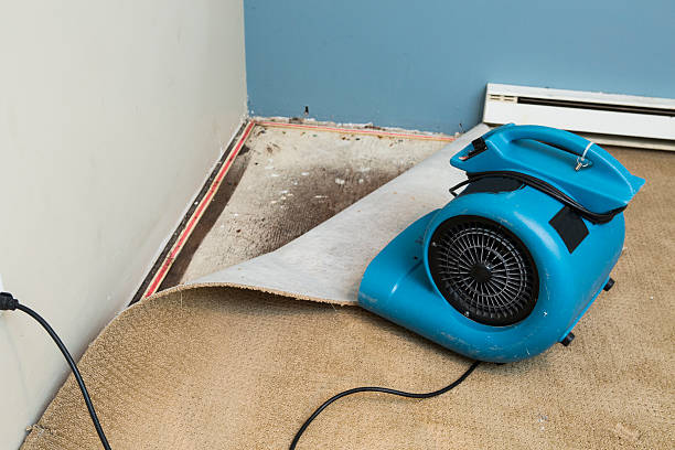 24/7 water damage repair in UT